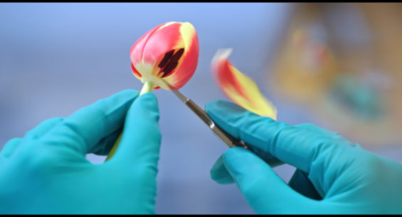 Feast au Cinéma STAR